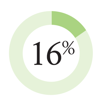 16%
